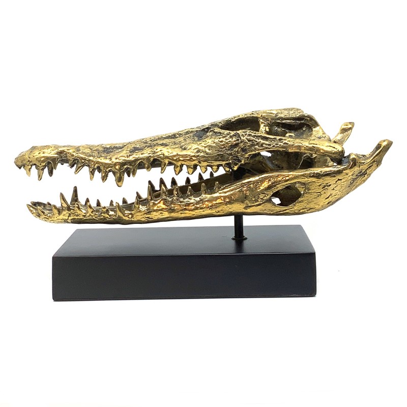 Crâne de crocodile en laiton doré