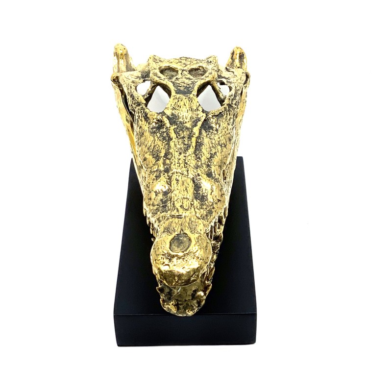 Crâne de crocodile en laiton doré