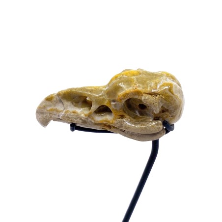 Crânes d'aigle sculptés dans une pierre Bumbelbee