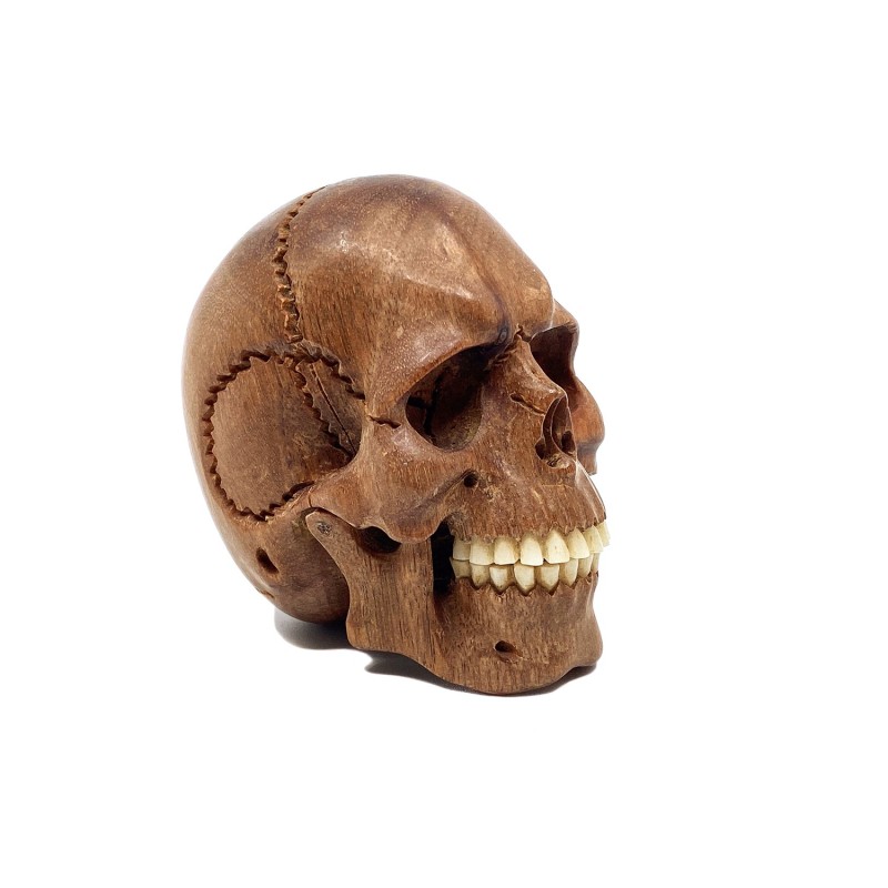 Crâne en bois sculpté dents en os