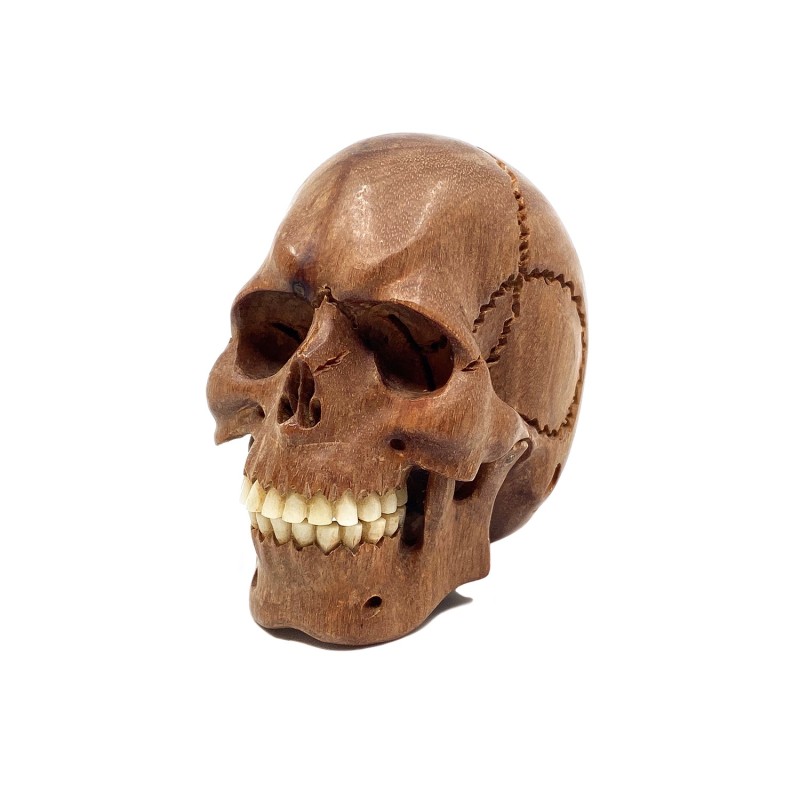 Crâne en bois sculpté dents en os