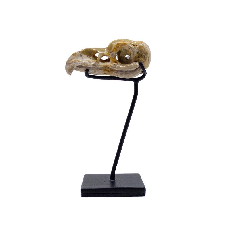 Crânes d'aigle sculptés dans une pierre Bumbelbee