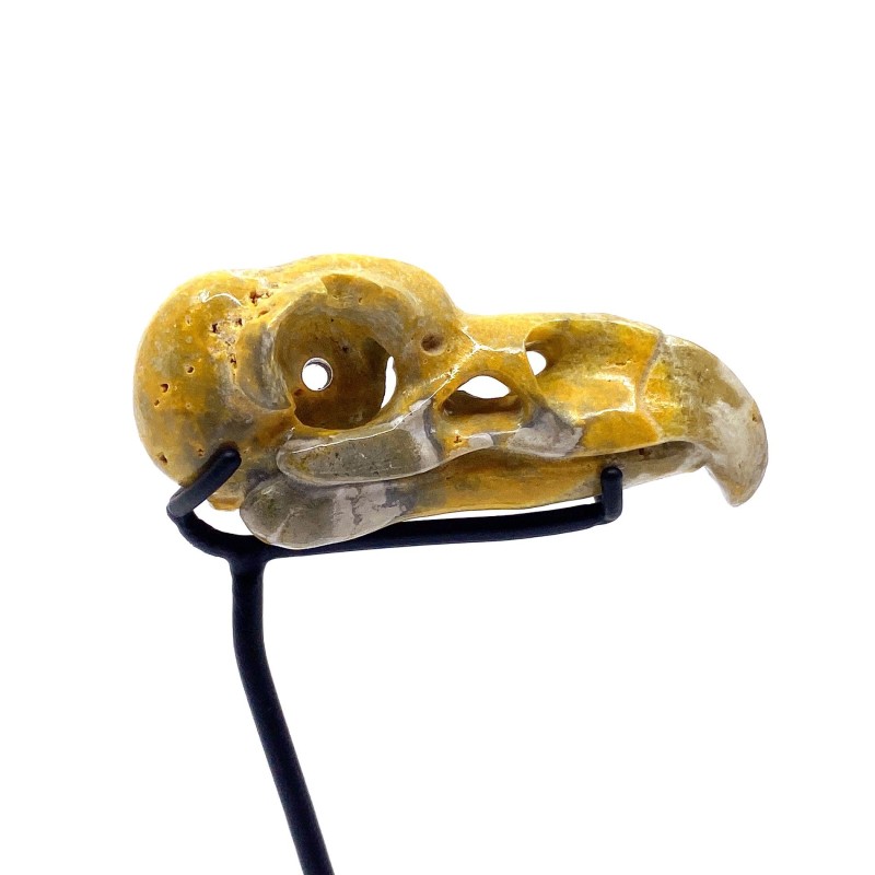 Crânes d'aigle sculptés dans une pierre Bumbelbee