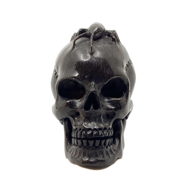 Crâne sculpté en corne et son scolopendre