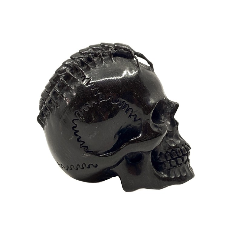 Crâne sculpté en corne et son scolopendre