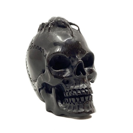 Crâne sculpté en corne et son scolopendre