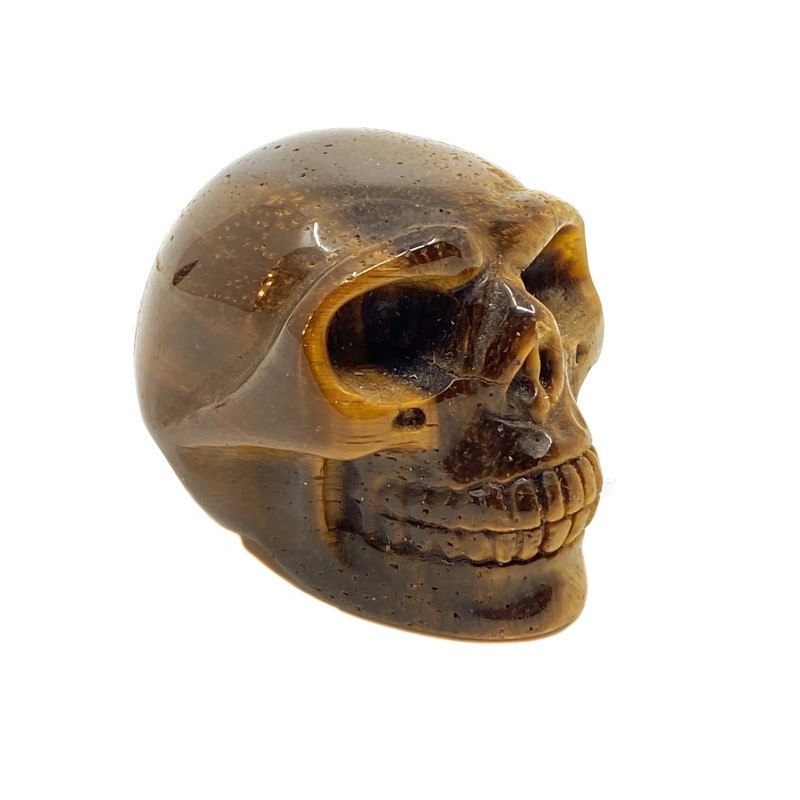 Crâne sculpté en pierre Oeil de Tigre