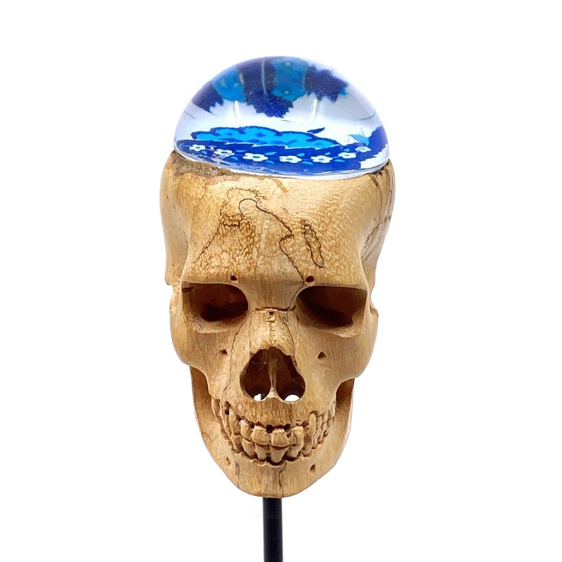 Crâne sculpté en bois tendre et hémimorphose  en verre