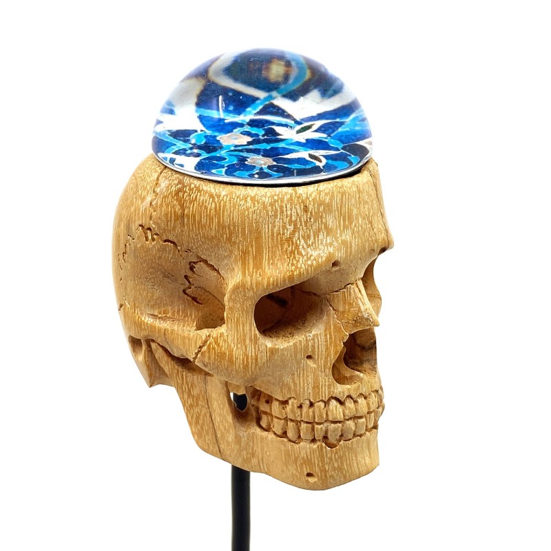 Crâne sculpté en bois tendre et son hémimorphose