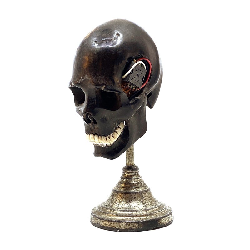 Crâne  sculpté  finement dans du bois façon Mémento Mori et ses circuits électriques