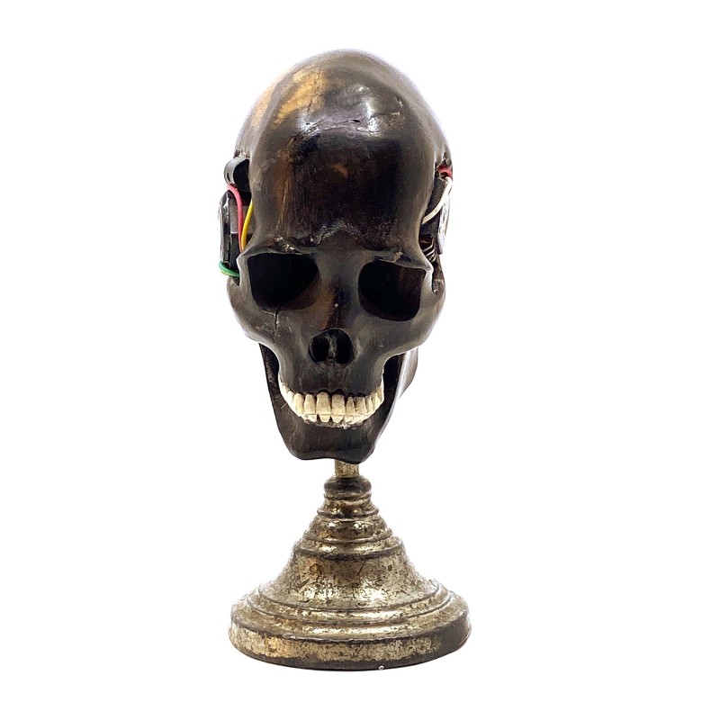 Crâne  sculpté  finement dans du bois façon Mémento Mori et ses circuits électriques