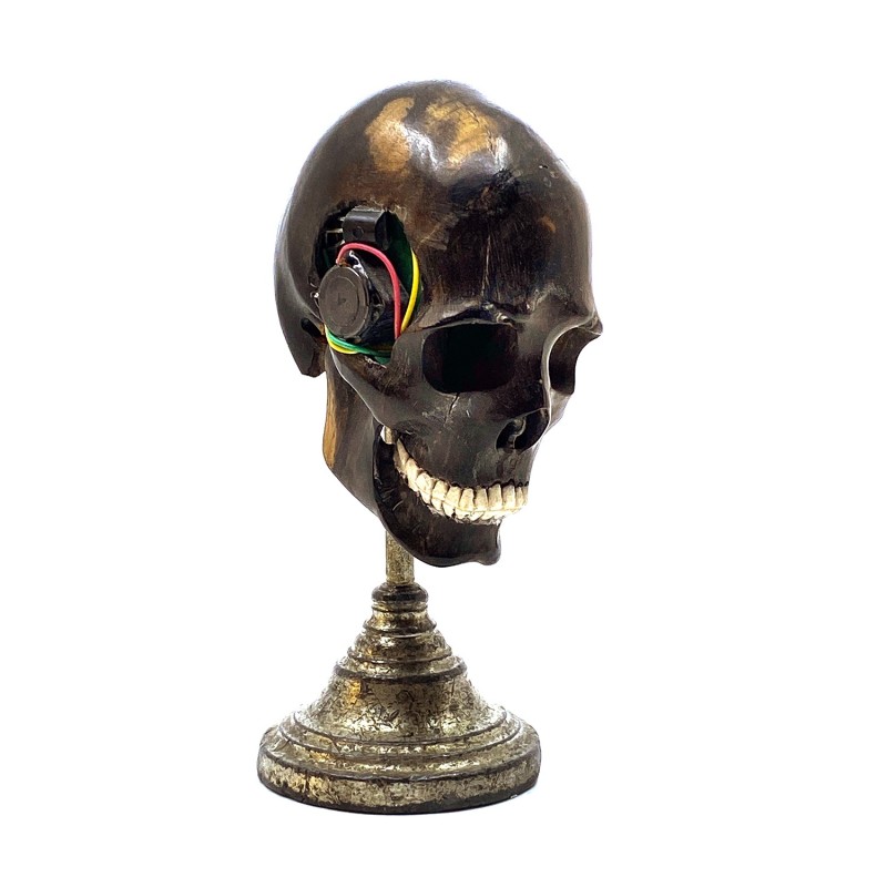 Crâne  sculpté  finement dans du bois façon Mémento Mori et ses circuits électriques