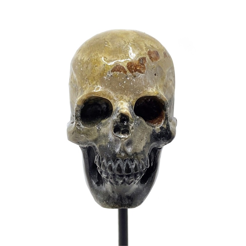 Crânes sculptés dans de la pierre Bumbelbee