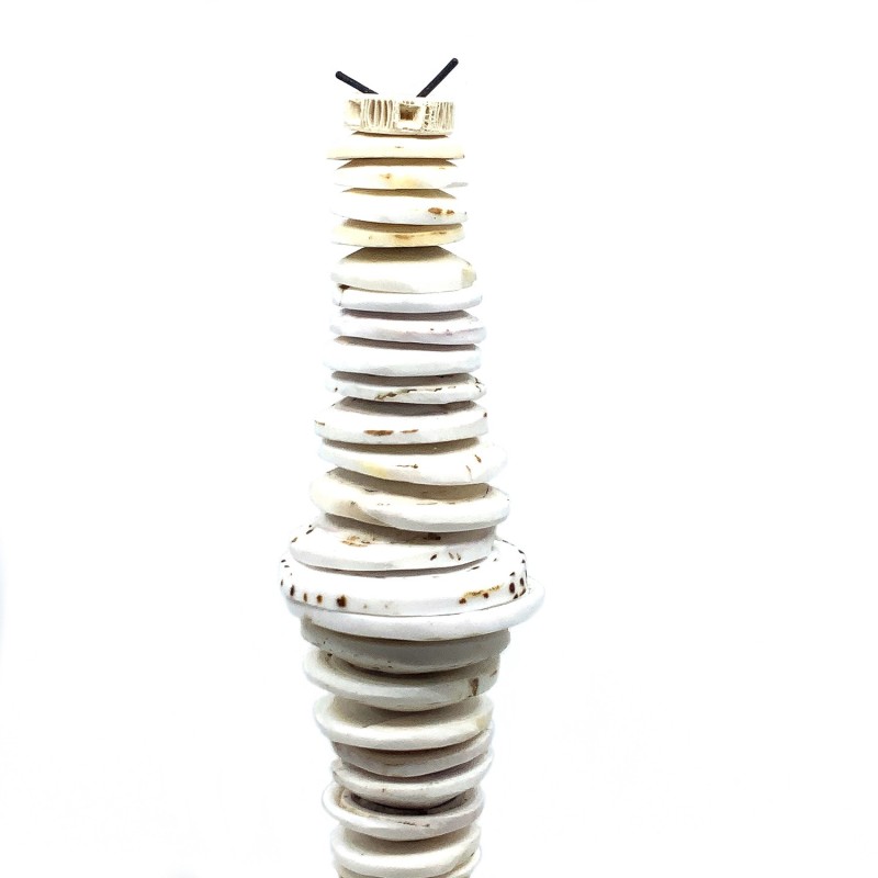 Coquillages monnaie montés en sculpture sur socle en métal